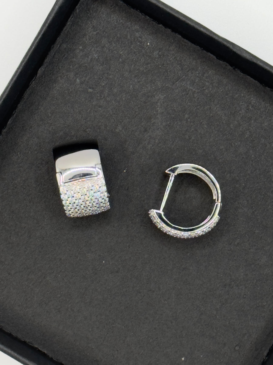 Stunning Pave Huggie Earrings